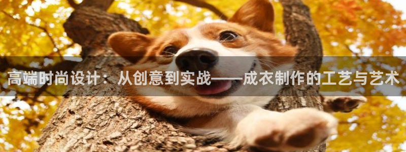 天辰娱乐文案