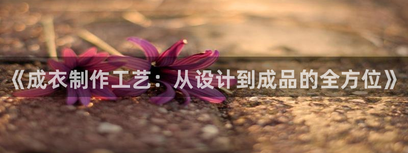 天辰娱乐2