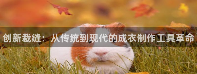 天辰娱乐平台地址