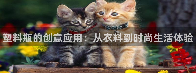 天辰娱乐官网