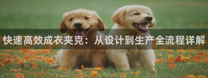 天辰娱乐待遇