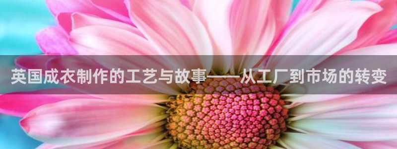 天辰娱乐服务