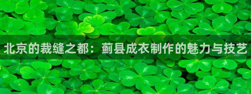 天辰娱乐直属