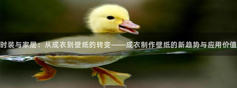 天辰娱乐上级