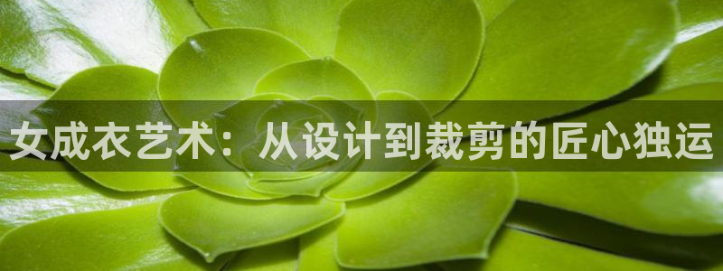 天辰说娱乐