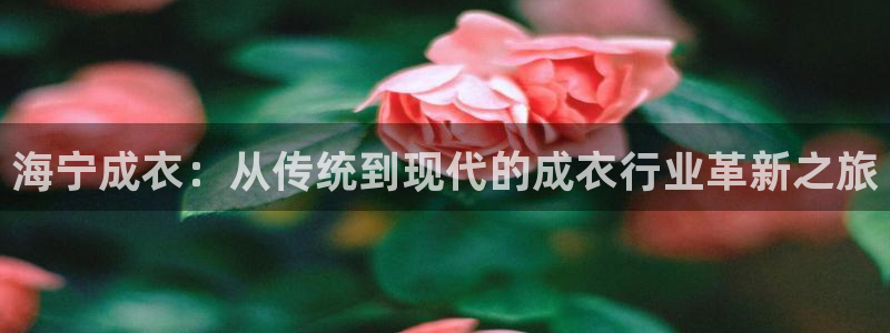 天辰娱乐会员