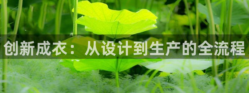 天辰娱乐小姐