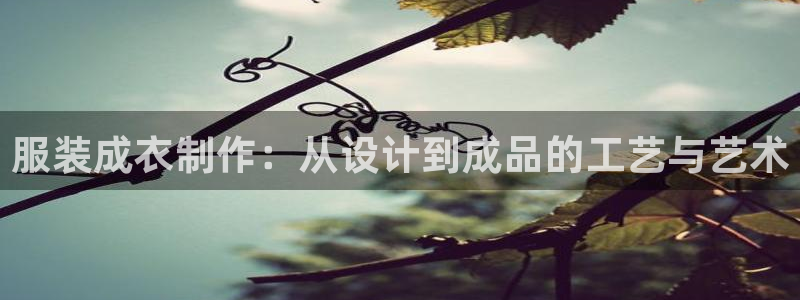 常州天辰娱乐