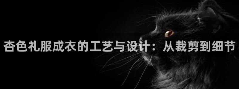 天辰娱乐官网平台入口