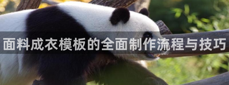 天辰娱乐平台测速