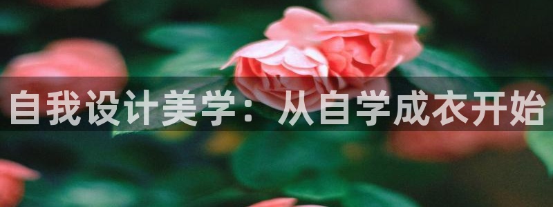天辰娱乐海洋