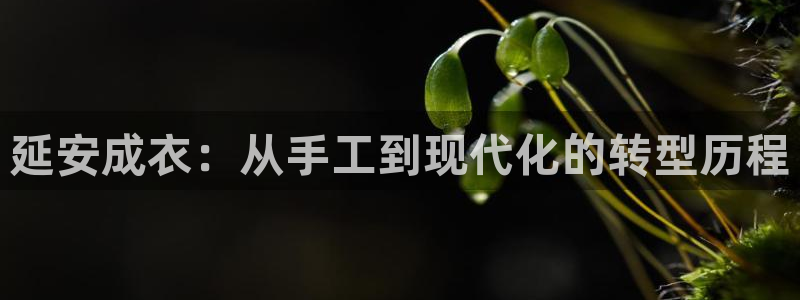天辰娱乐