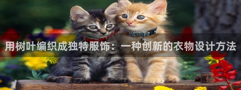 天辰娱乐集团