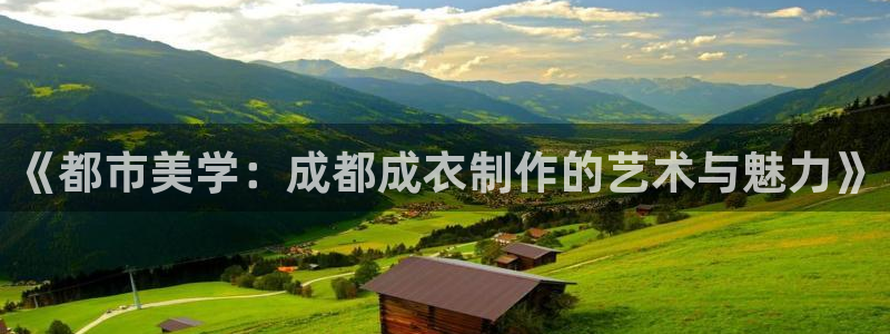 天辰娱乐61116