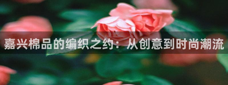 天辰(娱乐注册
