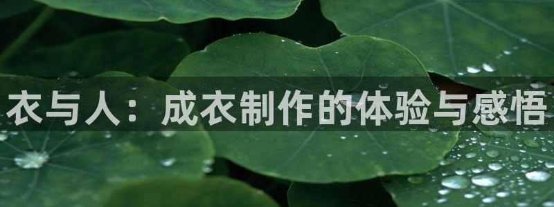 天辰娱乐公司