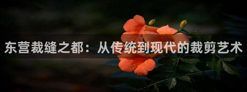 天辰娱乐登陆