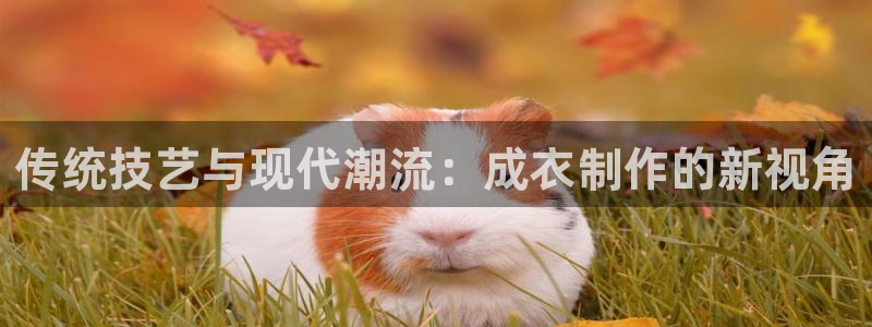 天辰娱乐游戏