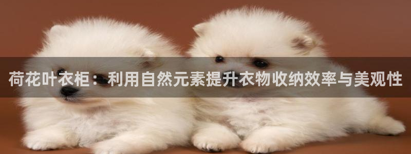 天辰水娱乐