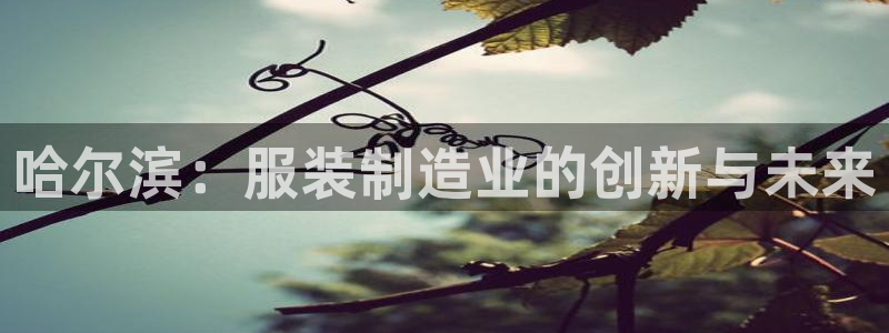 天辰娱乐481928