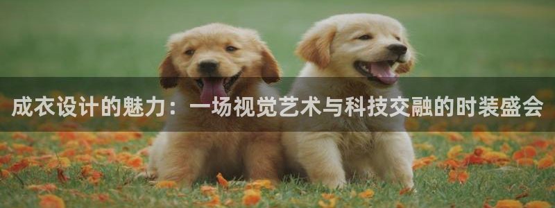 天富天辰娱乐