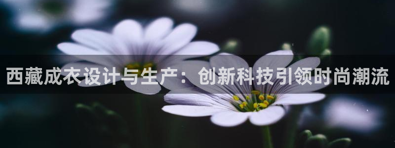 天辰娱乐平台app下载