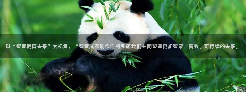 天辰娱乐网